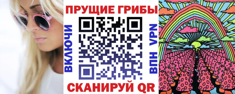 Купить закладки  Моршанск  Псилоцибиновые грибы мицелий 